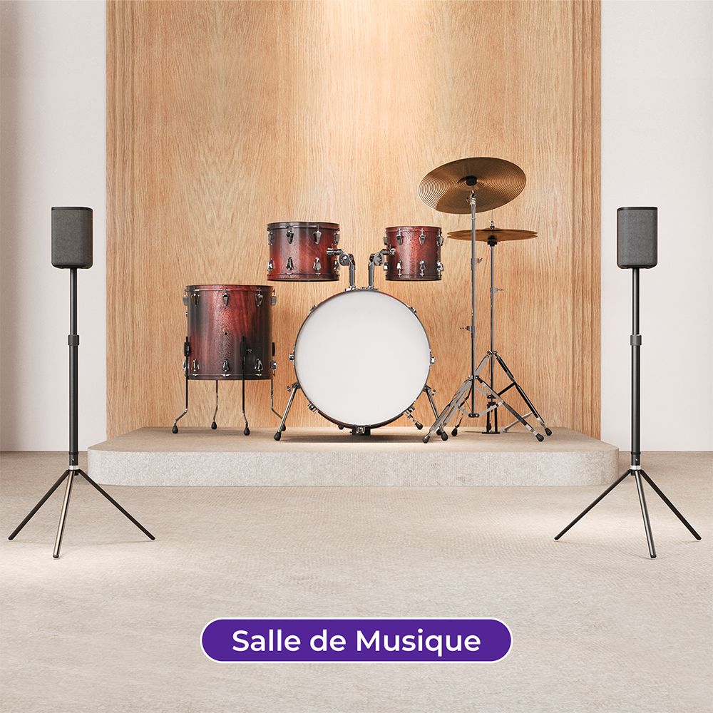 Ultimea Steady 310 Supports d'enceintes, compatibles avec les séries Poseidon et Aura