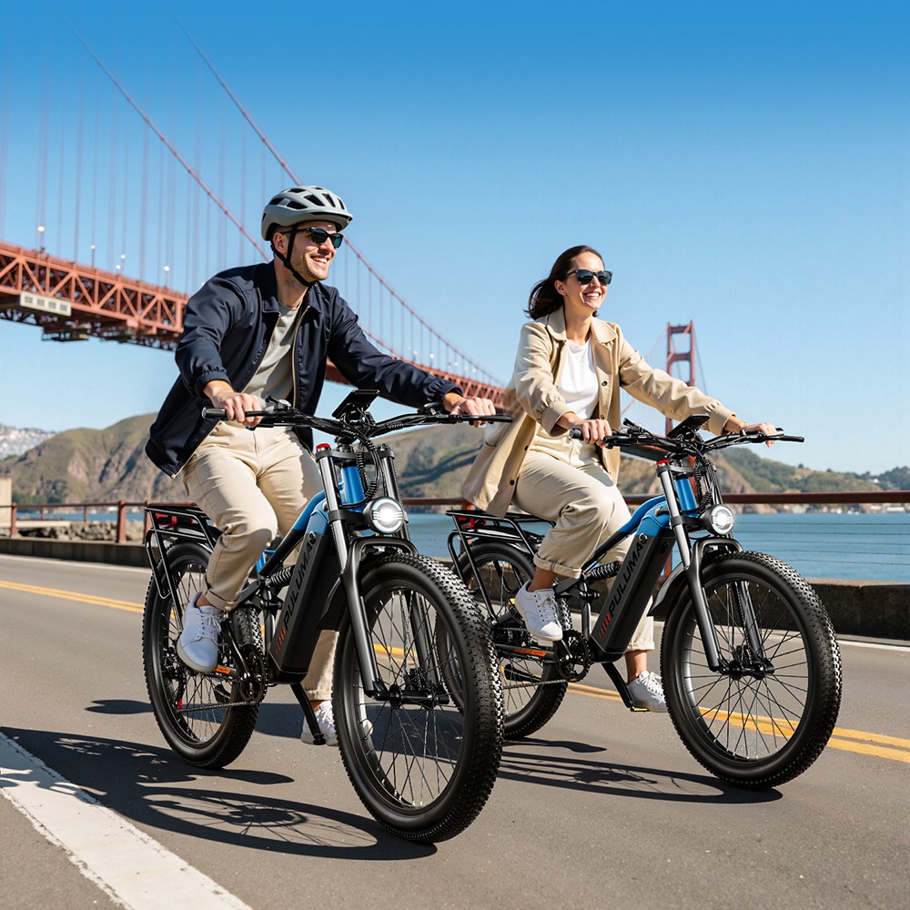 PULUMA PE86 Electric Bike, 500W Motor, 48V 20Ah Battery, 26 inch Tires, 40km/h Max Speed, 150km Range, Hydraulic Brakes, Oil Spring Suspension System, Shimano 7-speed, LCD Display, Torque Sensor