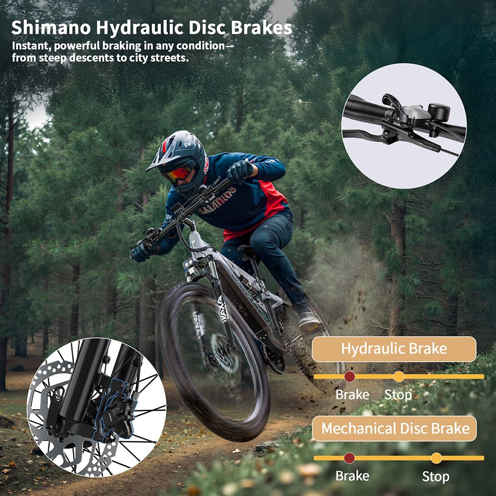 DUOTTS E29 V&eacute;lo &eacute;lectrique, moteur 250 W, batterie 48 V 13,5 Ah, pneus 27,5 pouces, vitesse maximale 25 km/h, autonomie 90 km, freins &agrave; disque hydrauliques Shimano, suspension pneumatique DNM, Shimano 14 vitesses, capteur de couple - Argent&eacute; et blanc