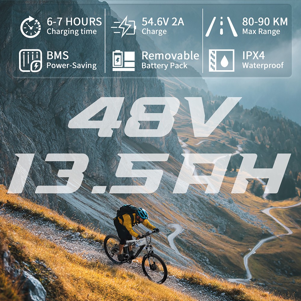 DUOTTS E29 V&eacute;lo &eacute;lectrique, moteur 250 W, batterie 48 V 13,5 Ah, pneus 27,5 pouces, vitesse maximale 25 km/h, autonomie 90 km, freins &agrave; disque hydrauliques Shimano, suspension pneumatique DNM, Shimano 14 vitesses, capteur de couple - Argent&eacute; et blanc