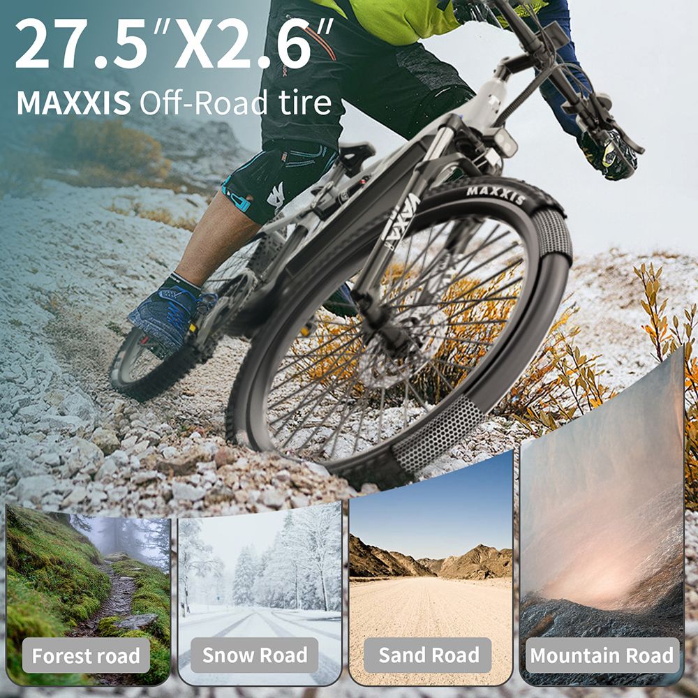 DUOTTS E29 V&eacute;lo &eacute;lectrique, moteur 250 W, batterie 48 V 13,5 Ah, pneus 27,5 pouces, vitesse maximale 25 km/h, autonomie 90 km, freins &agrave; disque hydrauliques Shimano, suspension pneumatique DNM, Shimano 14 vitesses, capteur de couple - Argent&eacute; et blanc