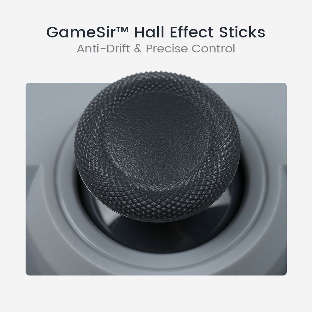 GameSir T3 Lite Tegenaria Lite Wired Symmetric Game Controller, Wired 1000Hz Polling Rate, Dual Vibration, Hall Effect Sticks and 2 Remappable Buttons, Turbo, PC Controller for Steam/Android/iOS/Switch - Retro Gray