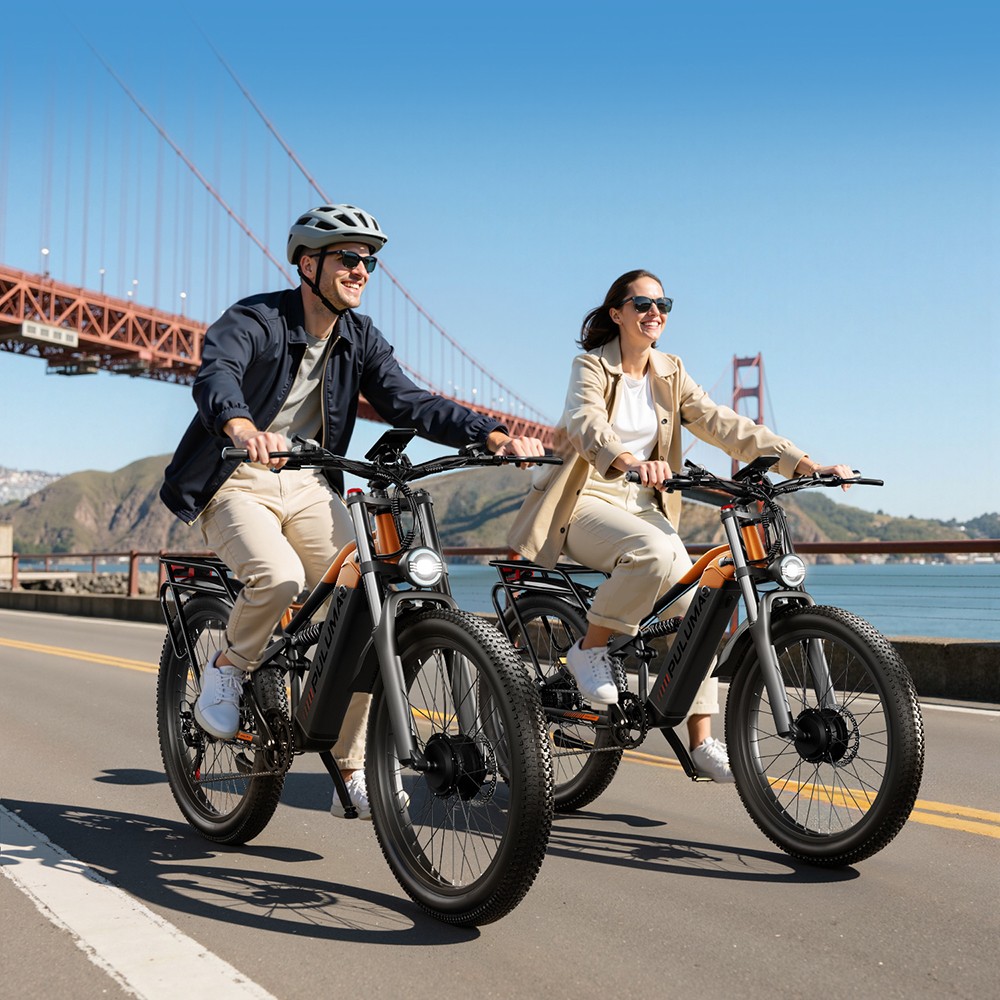 PULUMA PE86 Pro Vélo électrique, moteur 500 W x 2, batterie 48 V 20 Ah, pneus 26 pouces, vitesse maximale 40 km/h, autonomie 150 km, freins hydrauliques, suspension à ressorts à huile, Shimano 7 vitesses, écran LCD, capteur de couple