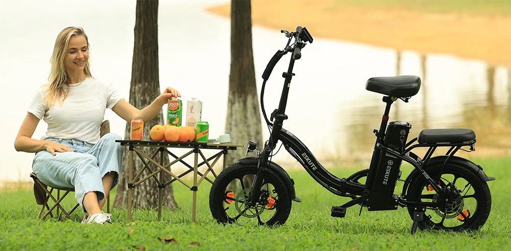 ESKUTE D100 skladací elektrický bicykel, 250W motor, 36V 13Ah batéria, max. rýchlosť 25km/h, dojazd 100km, 16 palcové pneumatiky, mechanické kotúčové brzdy, LCD displej - čierny