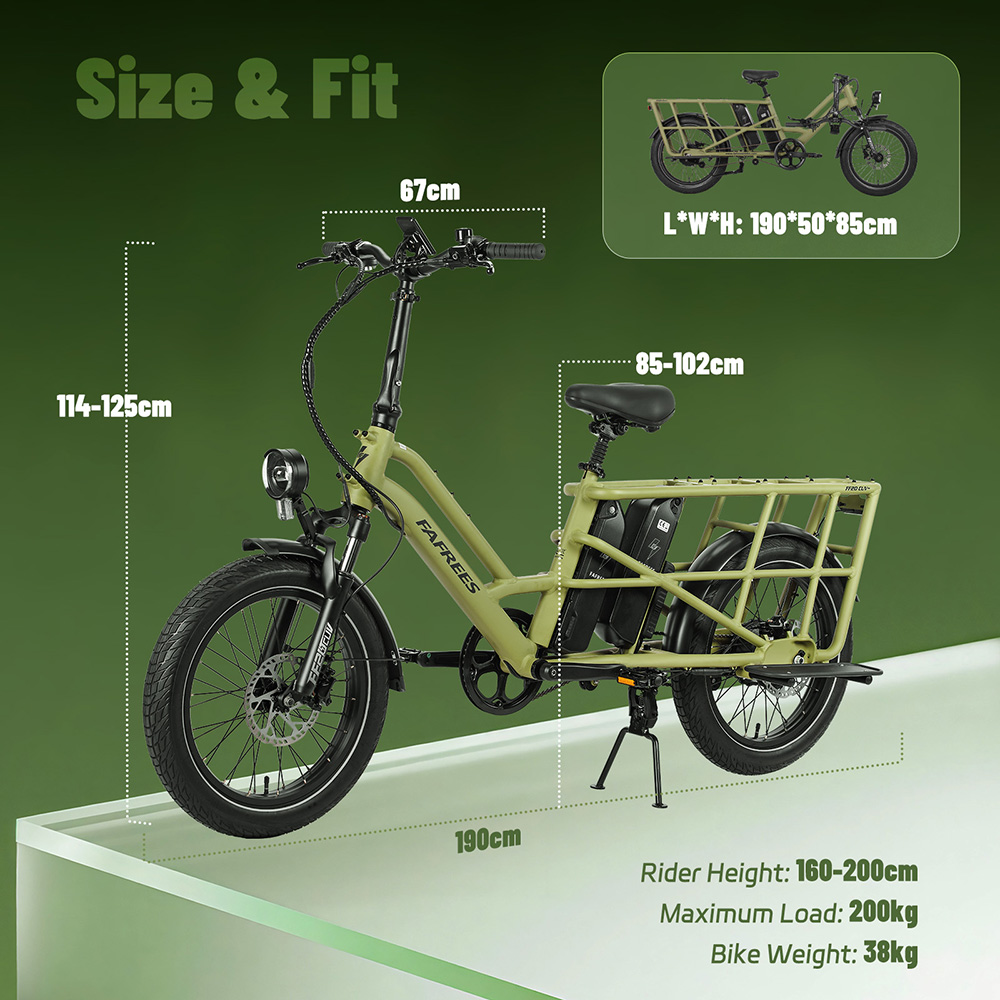 V&eacute;lo cargo &eacute;lectrique Fafrees FF20 CUV, moteur 250 W, batteries 2 x 48 V 12 Ah, pneus 20 x 3 pouces, vitesse maximale 25 km/h, autonomie 140 km, freins &agrave; disque hydrauliques avant et arri&egrave;re, double suspension, &eacute;cran LCD, charge maximale 200 kg - Noir