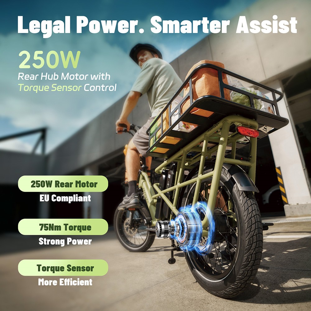 V&eacute;lo cargo &eacute;lectrique Fafrees FF20 CUV, moteur 250 W, batteries 2 x 48 V 12 Ah, pneus 20 x 3 pouces, vitesse maximale 25 km/h, autonomie 140 km, freins &agrave; disque hydrauliques avant et arri&egrave;re, double suspension, &eacute;cran LCD, charge maximale 200 kg - Noir