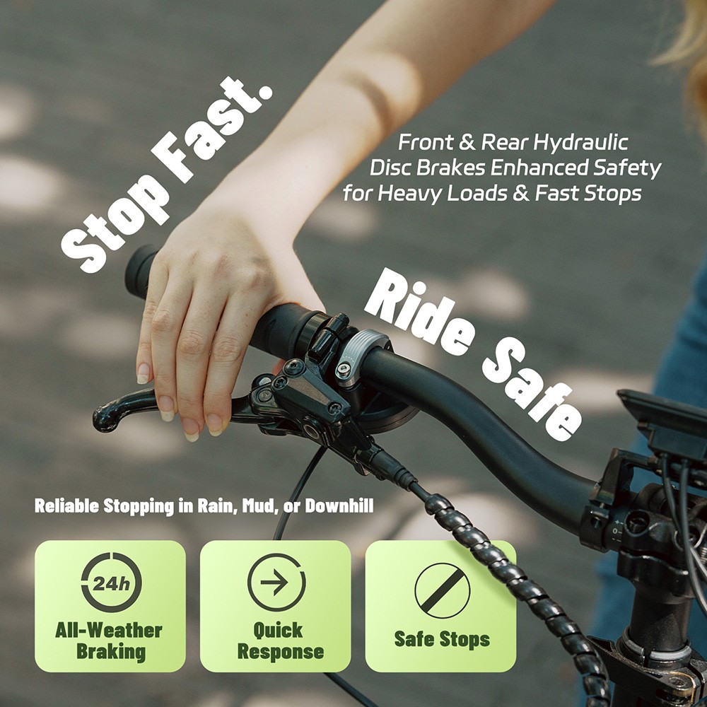 V&eacute;lo cargo &eacute;lectrique Fafrees FF20 CUV, moteur 250 W, batteries 2 x 48 V 12 Ah, pneus 20 x 3 pouces, vitesse maximale 25 km/h, autonomie 140 km, freins &agrave; disque hydrauliques avant et arri&egrave;re, double suspension, &eacute;cran LCD, charge maximale 200 kg - Noir