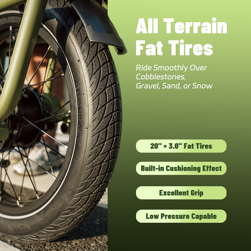 V&eacute;lo cargo &eacute;lectrique Fafrees FF20 CUV, moteur 250 W, batteries 2 x 48 V 12 Ah, pneus 20 x 3 pouces, vitesse maximale 25 km/h, autonomie 140 km, freins &agrave; disque hydrauliques avant et arri&egrave;re, double suspension, &eacute;cran LCD, charge maximale 200 kg - Noir