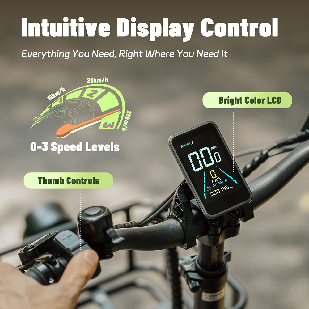 Fafrees FF20 CUV Elektro-Lastenfahrrad, 250-W-Motor, 2 x 48-V-12-Ah-Akku, 20 x 3-Zoll-Reifen, 25 km/h H&ouml;chstgeschwindigkeit, 140 km Reichweite, hydraulische Scheibenbremse vorne und hinten, Doppelfederung, LCD-Display, maximale Gesamtlast 200 kg &ndash; Gr&uuml;n