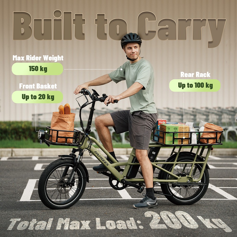 Fafrees FF20 CUV Elektro-Lastenfahrrad, 250-W-Motor, 2 x 48-V-12-Ah-Akku, 20 x 3-Zoll-Reifen, 25 km/h H&ouml;chstgeschwindigkeit, 140 km Reichweite, hydraulische Scheibenbremse vorne und hinten, Doppelfederung, LCD-Display, maximale Gesamtlast 200 kg &ndash; Grau