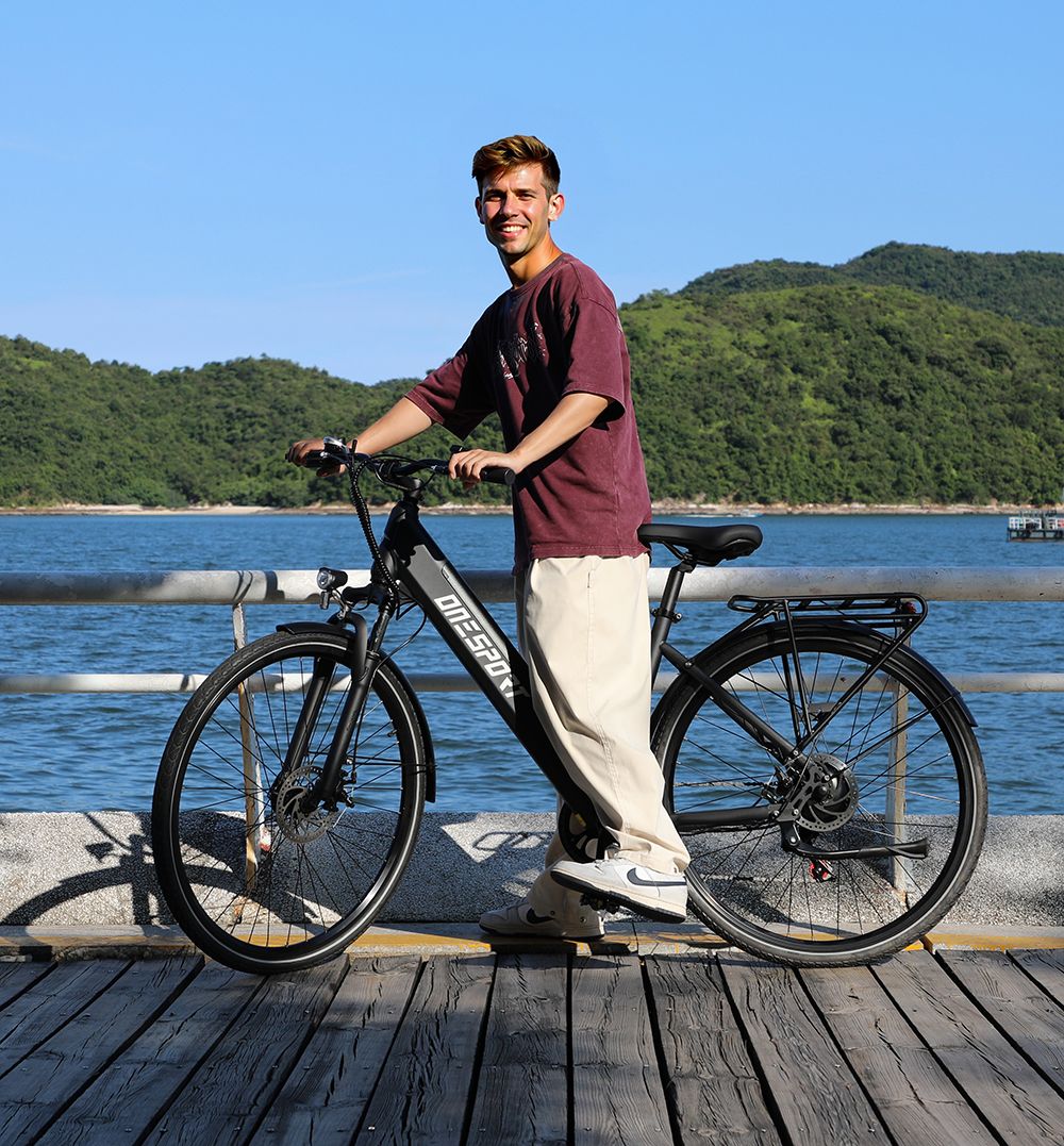 DUOTTS OT12 Electric Bike, 250W Motor, 36V 13Ah Battery, 27.5 palcové pneumatiky, max. rýchlosť 25km/h, dojazd 65km, predné & zadné mechanické kotúčové brzdy, predná odpružená vidlica, Shimano 7 rýchlostí - sivá