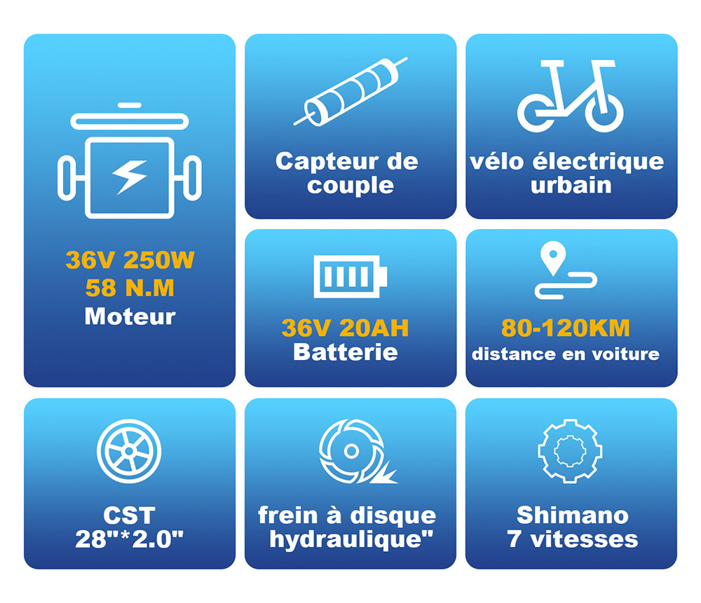 TTGO C3 Pro Vélo électrique, moteur 250W, batterie 36V 20Ah, pneus de 28 pouces, vitesse maximale de 25 km/h, autonomie maximale de 120 km, frein à disque hydraulique, fourche à suspension, capteur de couple, Shimano 7 vitesses, écran LCD - Noir