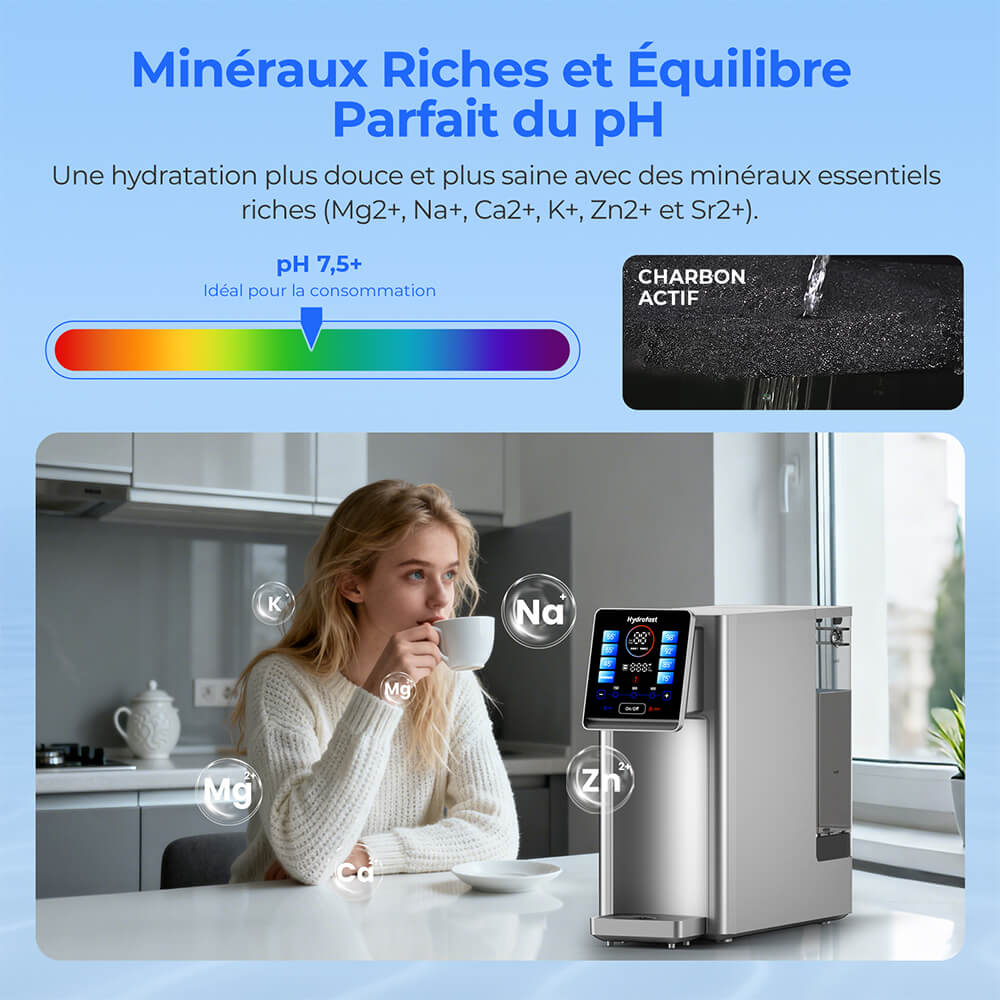 Hydrofast W100 Ensembles de purificateurs d'eau de comptoir (élément filtrant composite W100 + HF03 + élément filtrant RO HF02)