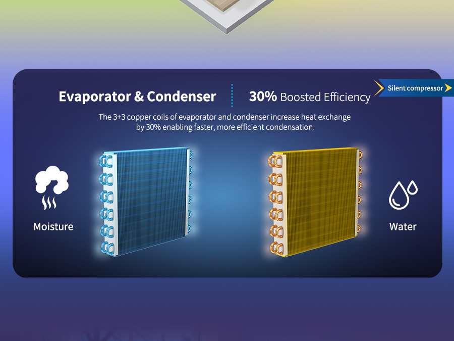 HUMILABS 12L Dehumidifier, 2L Water Tank, 24H Timer, 3 Modes, Auto/Manual Drainage, LED Touch Screen, Low Noise