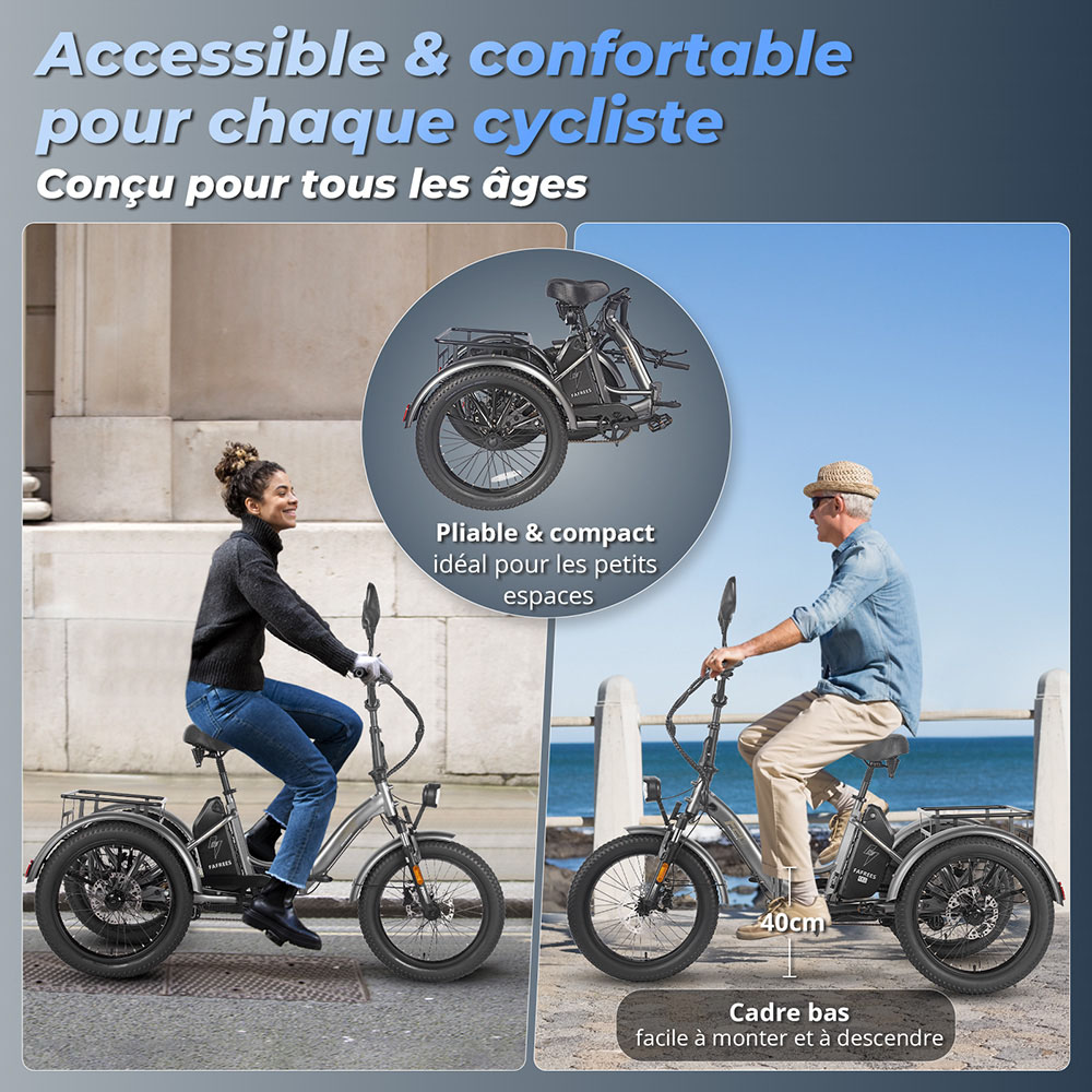 Fafrees F20 Mate Tricycle cargo électrique version certifiée EU L1e-B, moteur 500W, batterie 48V 21Ah, pneus 20*3 pouces, vitesse maximale 30 km/h, autonomie maximale 115 km, frein à disque hydraulique, système de suspension triple, écran LCD - Gris
