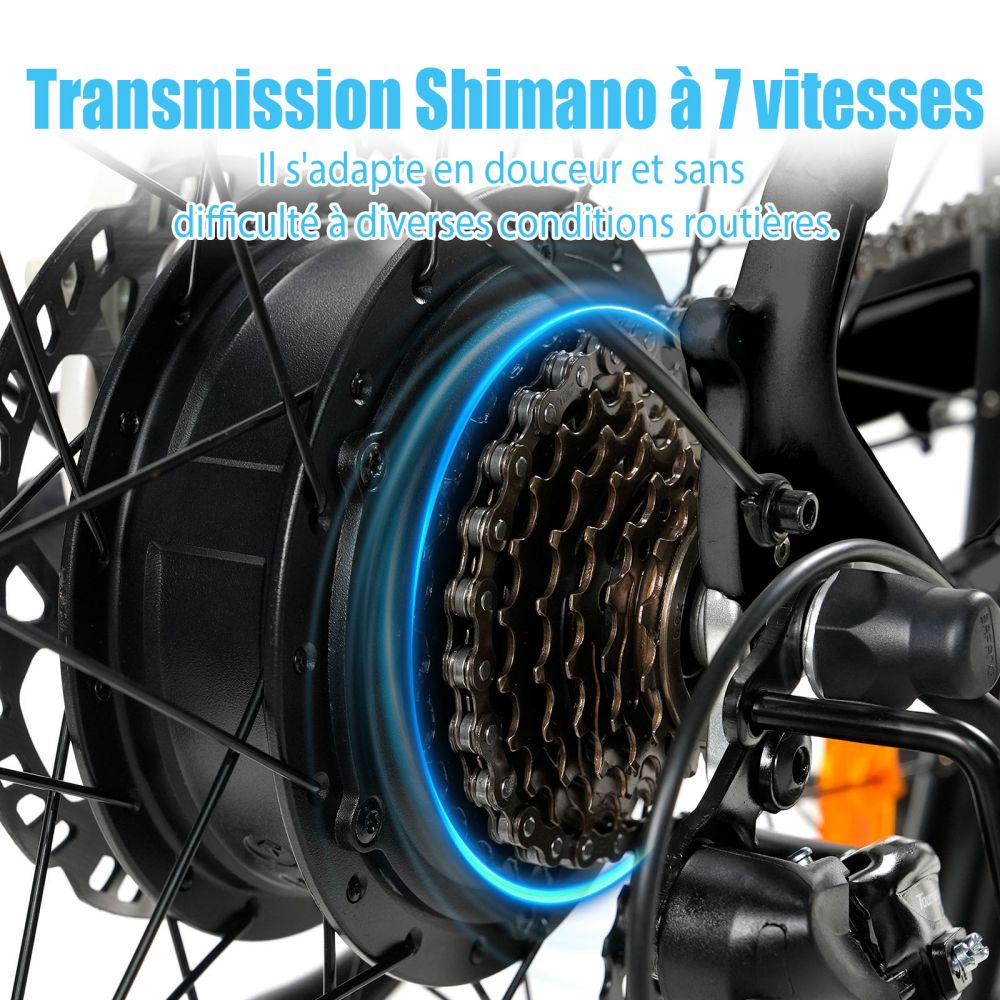 TTGO C3 Pro Vélo électrique, moteur 250W, batterie 36V 20Ah, pneus de 28 pouces, vitesse maximale de 25 km/h, autonomie maximale de 120 km, frein à disque hydraulique, fourche à suspension, capteur de couple, Shimano 7 vitesses, écran LCD - Noir