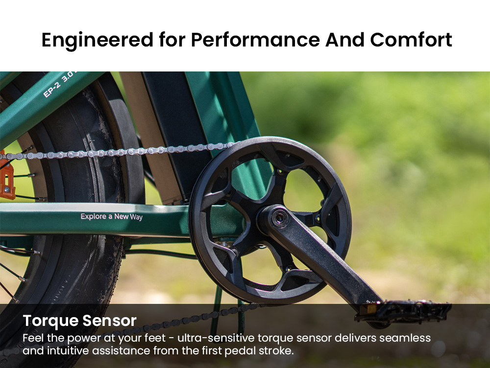 ENGWE EP-2 3.0 Boost Electric Bike, 250W Motor, 48V 13.5Ah Battery, 20*4 inch Tires, 120km Max Range, Hydraulic Brakes, Shimano 7-speed, Torque Sensor, App Control, Fast Charging- Black