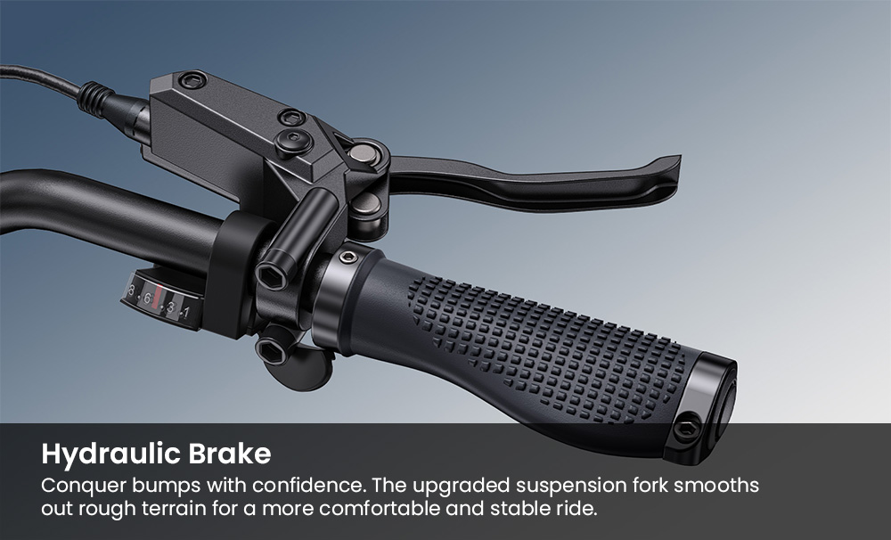 ENGWE Pro 3.0 Boost Electric Bike, 250W Motor, 48V 15Ah Battery, 20*4.0 inch Tires, 130km Range, Hydraulic Brake, Full Suspension, Shimano 7-speed, Torque Sensor, App Control - Blue