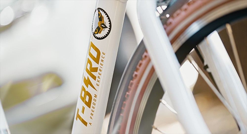 Elektrický bicykel Miami-26, 250W motor, 36V 14,4Ah batéria, 26*1.95 palcové pneumatiky, max. rýchlosť 25km/h, dojazd 45km, predné & zadné mechanické kotúčové brzdy, Shimano 7 rýchlostí - čierny