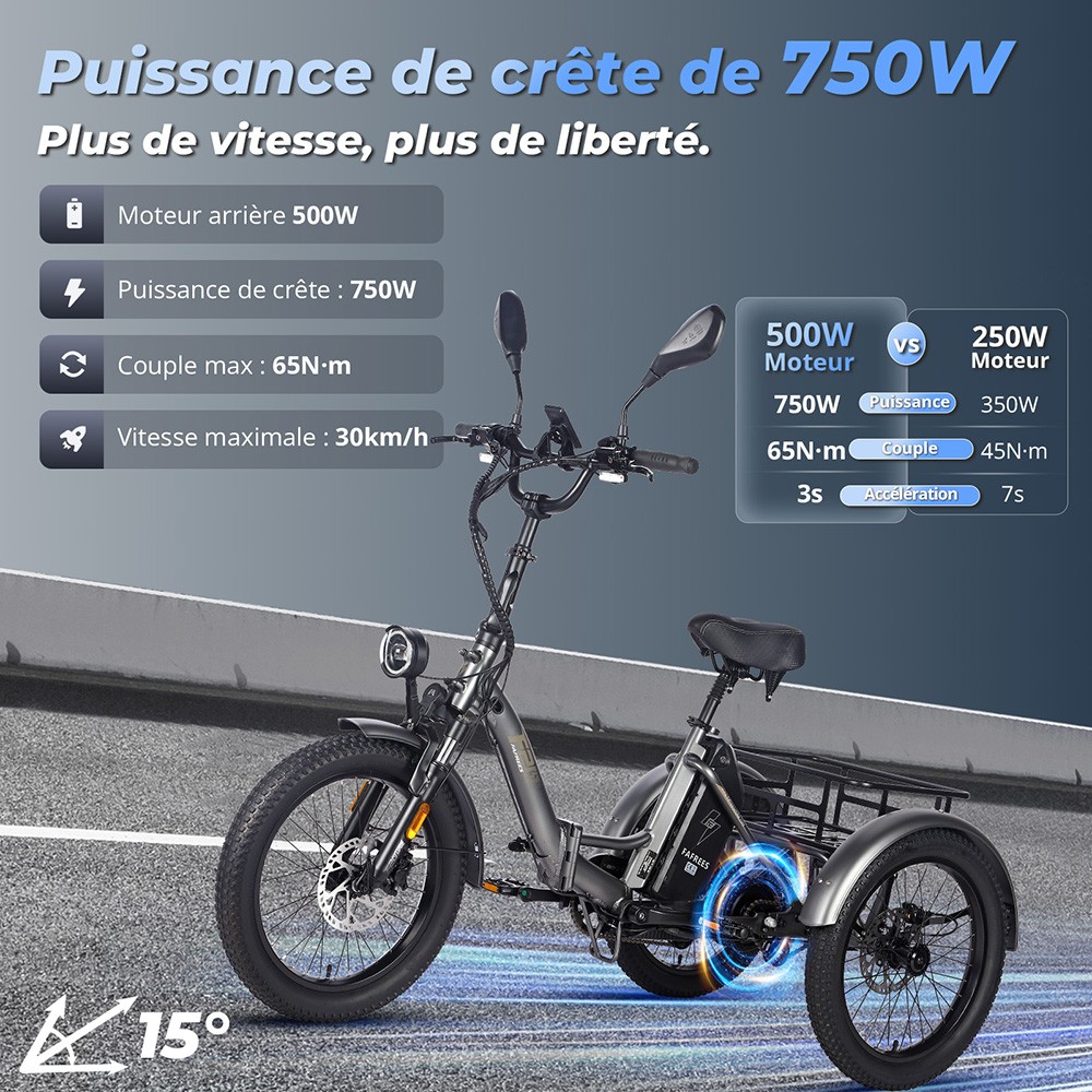 Fafrees F20 Mate Tricycle cargo électrique version certifiée EU L1e-B, moteur 500W, batterie 48V 21Ah, pneus 20*3 pouces, vitesse maximale 30 km/h, autonomie maximale 115 km, frein à disque hydraulique, système de suspension triple, écran LCD - Gris