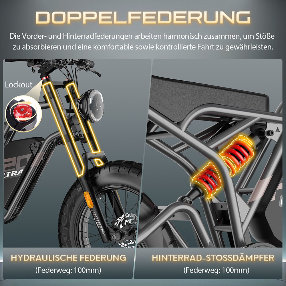 Fafrees F20 Ultra Elektrofahrrad EU L1e-B Zertifizierte Version, 750W Motor, 48V 25Ah Batterie, 20*5 Zoll Reifen, 45km/h Maximalgeschwindigkeit, 140km Maximalreichweite, Hydraulische Scheibenbremsen, Hydraulische Federung, LCD-Display, Shimano 7-Gang - Schwarz