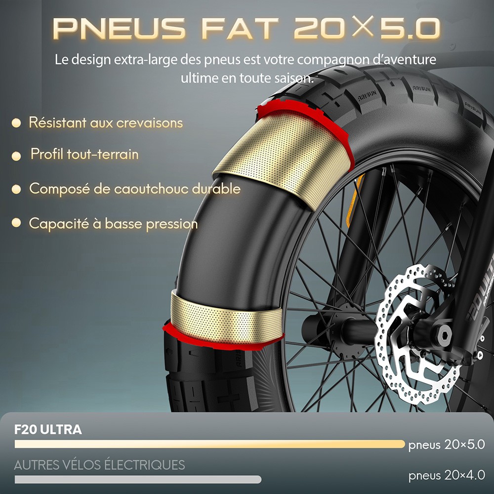 Fafrees F20 Ultra Vélo électrique version certifiée EU L1e-B, moteur 750W, batterie 48V 25Ah, pneus 20*5 pouces, vitesse maximale 45km/h, autonomie maximale 140km, freins à disque hydrauliques, suspension hydraulique, Shimano 7 vitesses - Gris