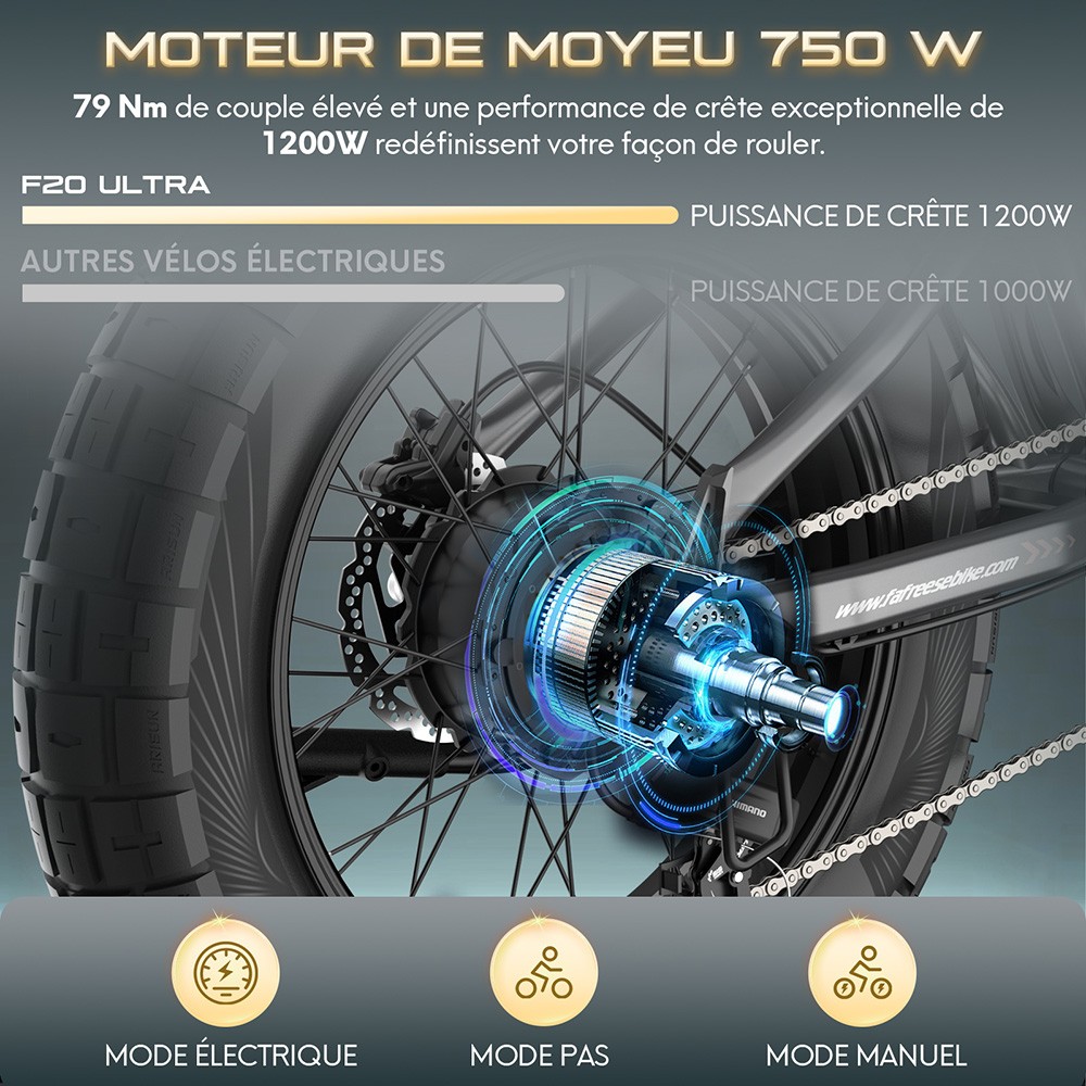 Fafrees F20 Ultra Vélo électrique version certifiée EU L1e-B, moteur 750W, batterie 48V 25Ah, pneus 20*5 pouces, vitesse maximale 45km/h, autonomie maximale 140km, freins à disque hydrauliques, suspension hydraulique, Shimano 7 vitesses - Vert