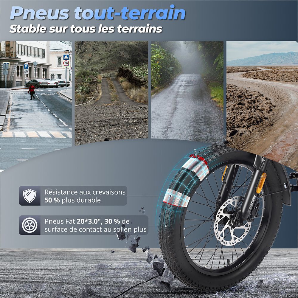 Fafrees F20 Mate Tricycle cargo électrique version certifiée EU L1e-B, moteur 500W, batterie 48V 21Ah, pneus 20*3 pouces, vitesse maximale 30 km/h, autonomie maximale 115 km, frein à disque hydraulique, système de suspension triple, écran LCD - Gris