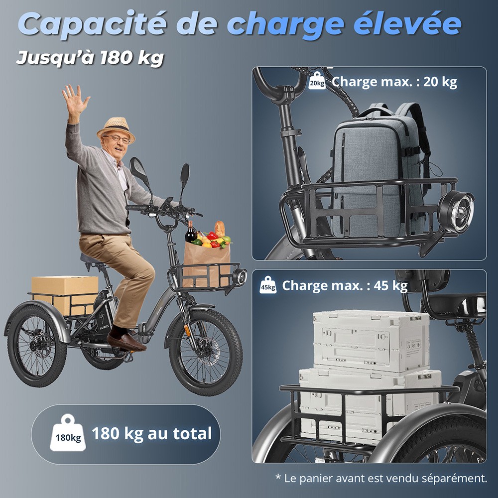 Fafrees F20 Mate Tricycle cargo électrique version certifiée EU L1e-B, moteur 500W, batterie 48V 21Ah, pneus 20*3 pouces, vitesse maximale 30 km/h, autonomie maximale 115 km, frein à disque hydraulique, système de suspension triple, écran LCD - Gris