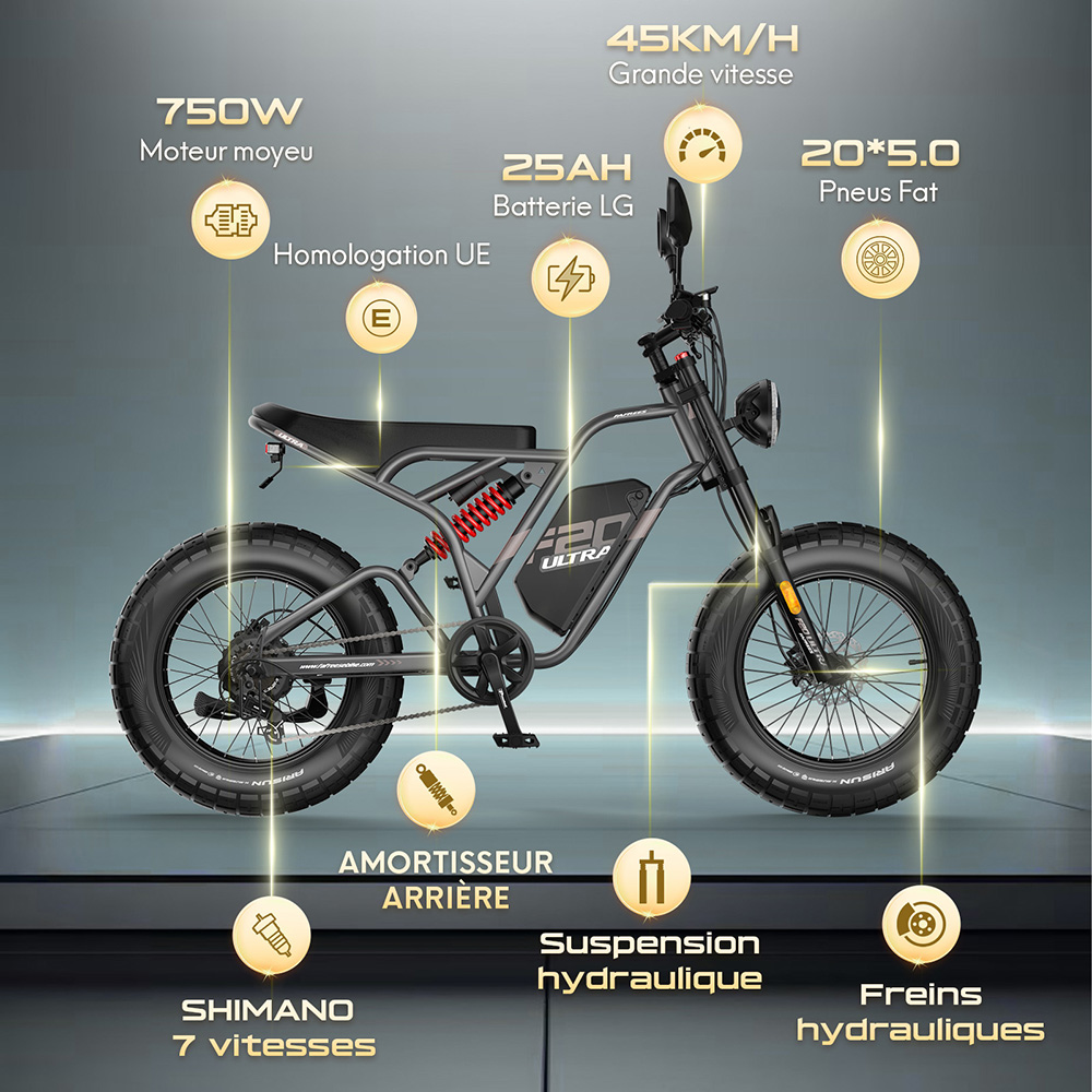 Fafrees F20 Ultra Vélo électrique version certifiée EU L1e-B, moteur 750W, batterie 48V 25Ah, pneus 20*5 pouces, vitesse maximale 45km/h, autonomie maximale 140km, freins à disque hydrauliques, suspension hydraulique, Shimano 7 vitesses - Noir