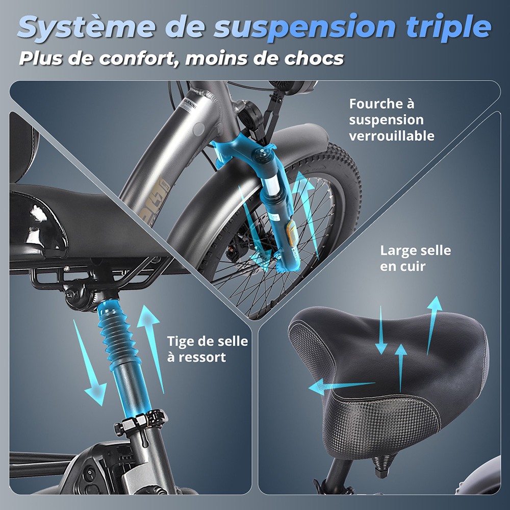 Fafrees F20 Mate Tricycle cargo électrique version certifiée EU L1e-B, moteur 500W, batterie 48V 21Ah, pneus 20*3 pouces, vitesse maximale 30 km/h, autonomie maximale 115 km, frein à disque hydraulique, système de suspension triple, écran LCD - Gris