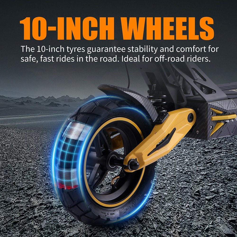 TWOFISH V2 MAX Electric Scooter, 600W Motor, 48V 17Ah Battery, 10 inch Tires, 53km/h Max Speed, 40km Range, Mechanical Disc Brakes, Spring Suspension, LCD Display