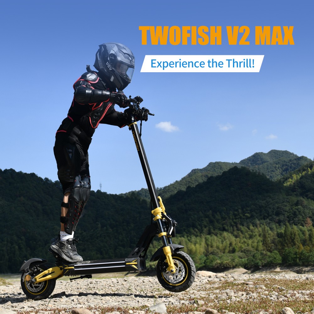 TWOFISH V2 MAX Elektroroller, 800-W-Motor, 48-V-20-Ah-Akku, 10-Zoll-Reifen, 25 km/h H&ouml;chstgeschwindigkeit, 50 km Reichweite, Doppelscheibenbremse, Federbeine vorne und hinten, NFC-Entsperrung