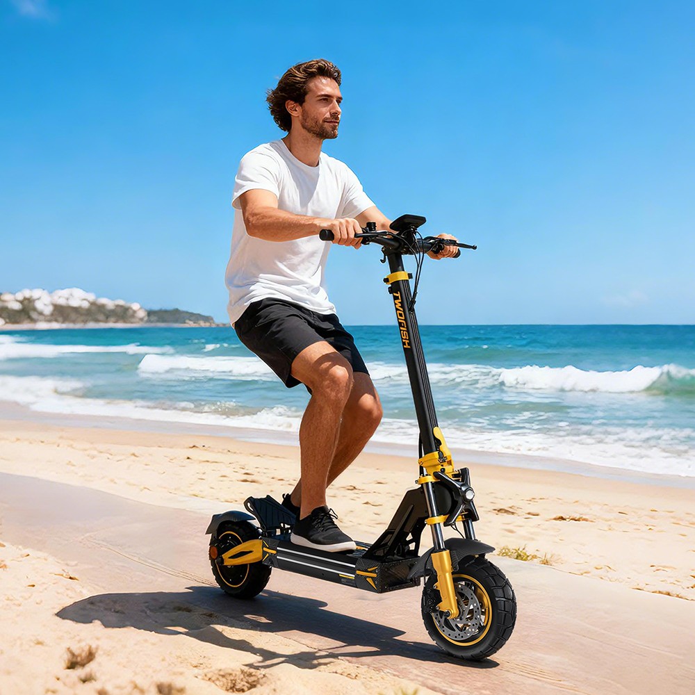 TWOFISH V2 MAX Elektroroller, 800-W-Motor, 48-V-20-Ah-Akku, 10-Zoll-Reifen, 25 km/h H&ouml;chstgeschwindigkeit, 50 km Reichweite, Doppelscheibenbremse, Federbeine vorne und hinten, NFC-Entsperrung