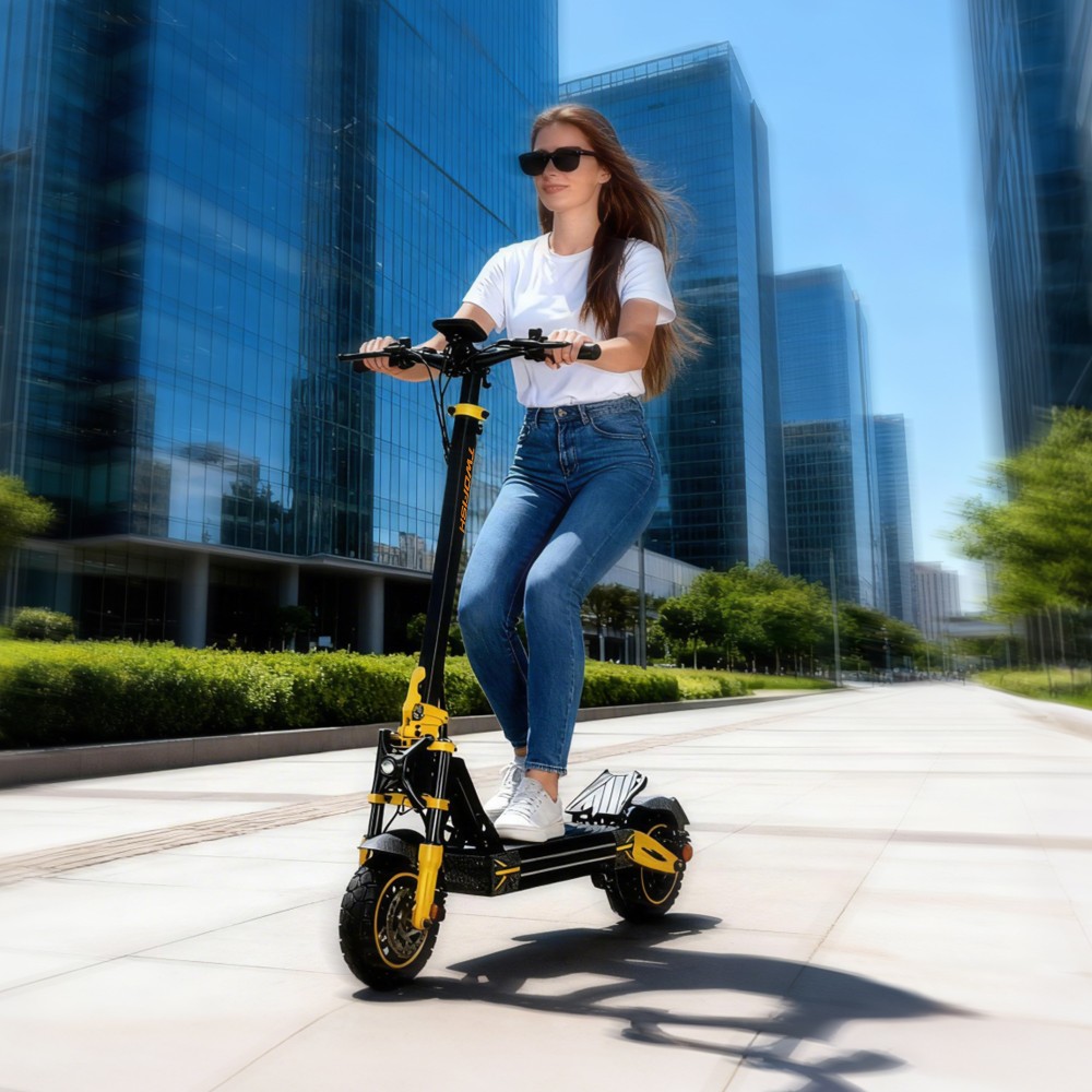 TWOFISH V2 MAX Elektroroller, 800-W-Motor, 48-V-20-Ah-Akku, 10-Zoll-Reifen, 25 km/h H&ouml;chstgeschwindigkeit, 50 km Reichweite, Doppelscheibenbremse, Federbeine vorne und hinten, NFC-Entsperrung