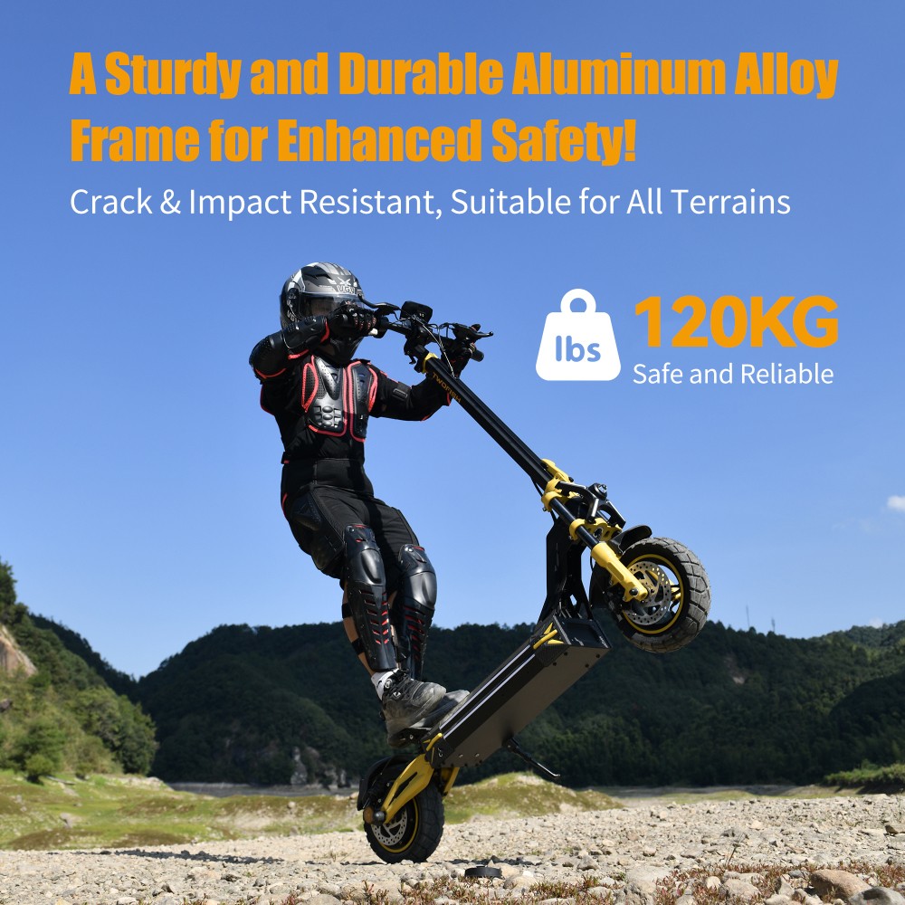 TWOFISH V2 MAX Elektroroller, 800-W-Motor, 48-V-20-Ah-Akku, 10-Zoll-Reifen, 25 km/h H&ouml;chstgeschwindigkeit, 50 km Reichweite, Doppelscheibenbremse, Federbeine vorne und hinten, NFC-Entsperrung