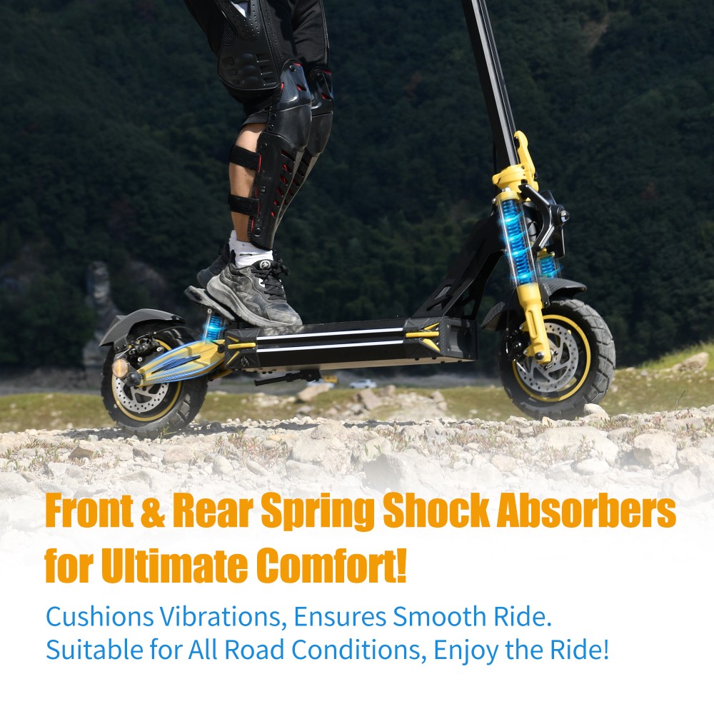 TWOFISH V2 MAX Elektroroller, 800-W-Motor, 48-V-20-Ah-Akku, 10-Zoll-Reifen, 25 km/h H&ouml;chstgeschwindigkeit, 50 km Reichweite, Doppelscheibenbremse, Federbeine vorne und hinten, NFC-Entsperrung