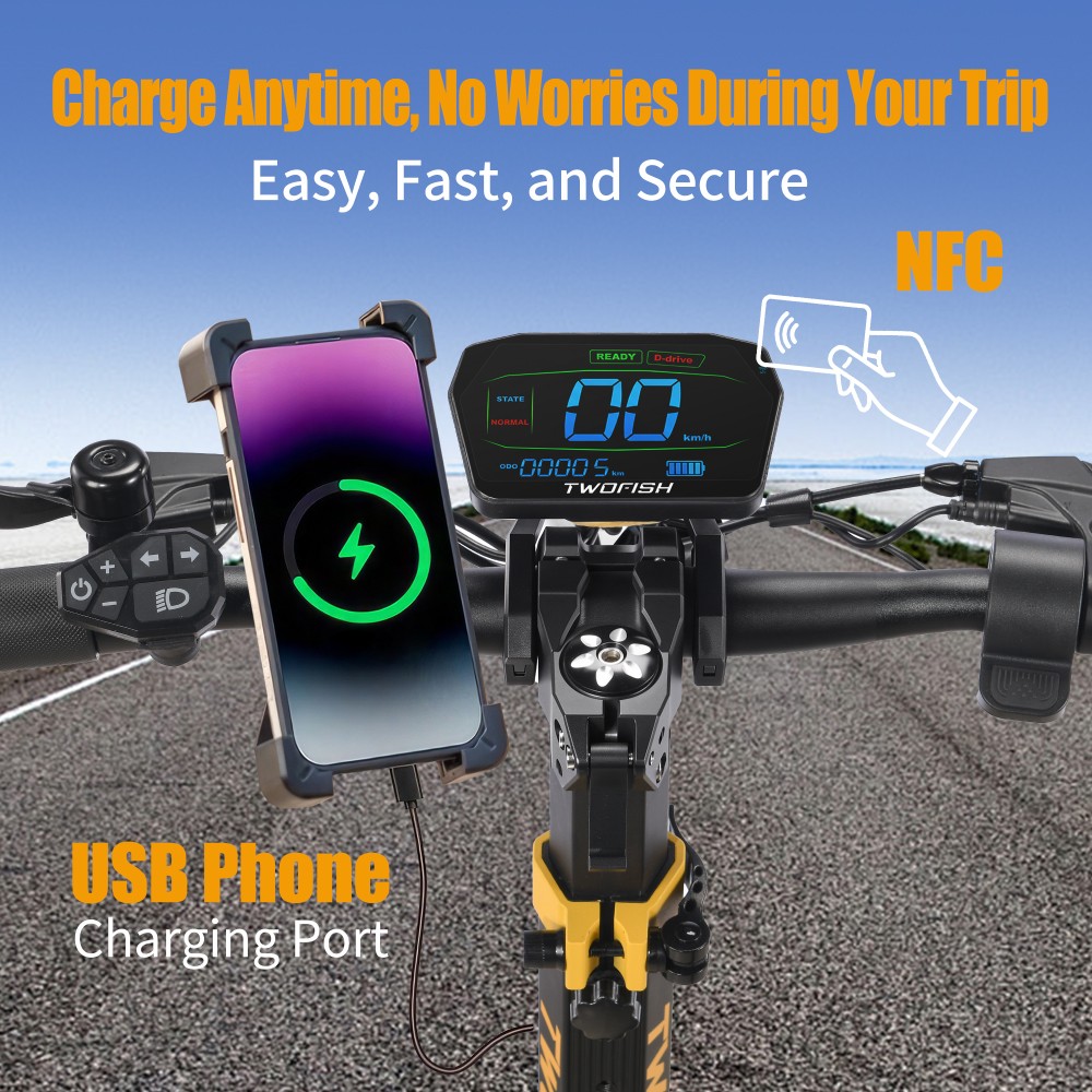 TWOFISH V2 MAX Elektroroller, 800-W-Motor, 48-V-20-Ah-Akku, 10-Zoll-Reifen, 25 km/h H&ouml;chstgeschwindigkeit, 50 km Reichweite, Doppelscheibenbremse, Federbeine vorne und hinten, NFC-Entsperrung