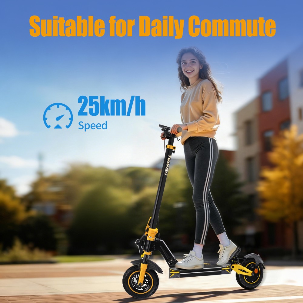 TWOFISH V2 MAX Elektroroller, 800-W-Motor, 48-V-20-Ah-Akku, 10-Zoll-Reifen, 25 km/h H&ouml;chstgeschwindigkeit, 50 km Reichweite, Doppelscheibenbremse, Federbeine vorne und hinten, NFC-Entsperrung