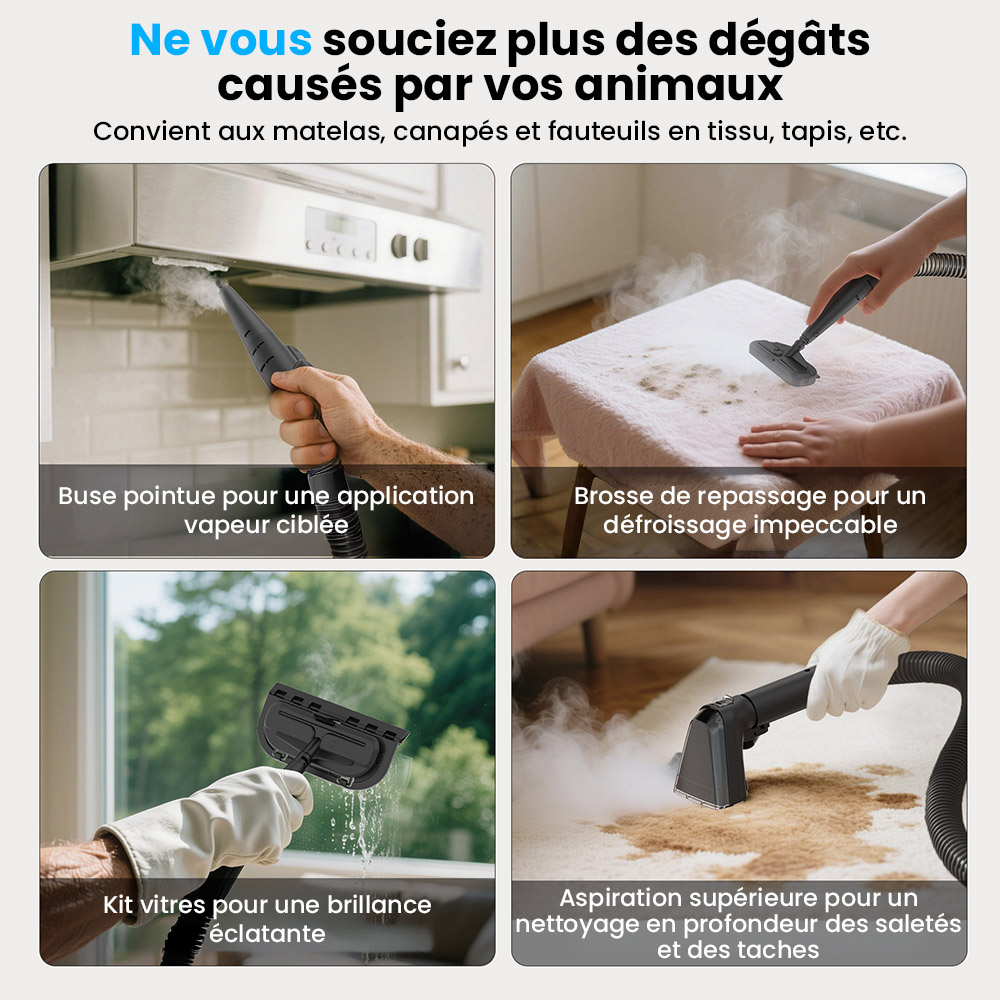 Nettoyeur de tapis et tissus d'ameublement 3 en 1 Teendow C6 MAX, vapeur 1650 W, aspiration 12&nbsp;000 Pa, deux r&eacute;servoirs, adapt&eacute; aux animaux