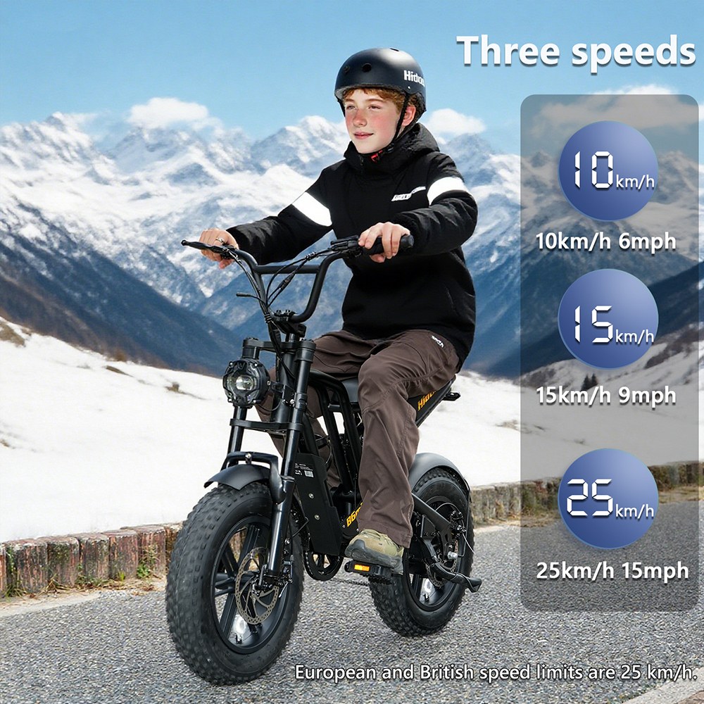 Hidoes B6mini Electric Bike, 500W Motor, 48V 10.4Ah Battery, 16 inch Tires, 35km/h Max Speed, 28km Range, Front & Rear Disc Brake, Front Fork Suspension & Rear Spring Suspension