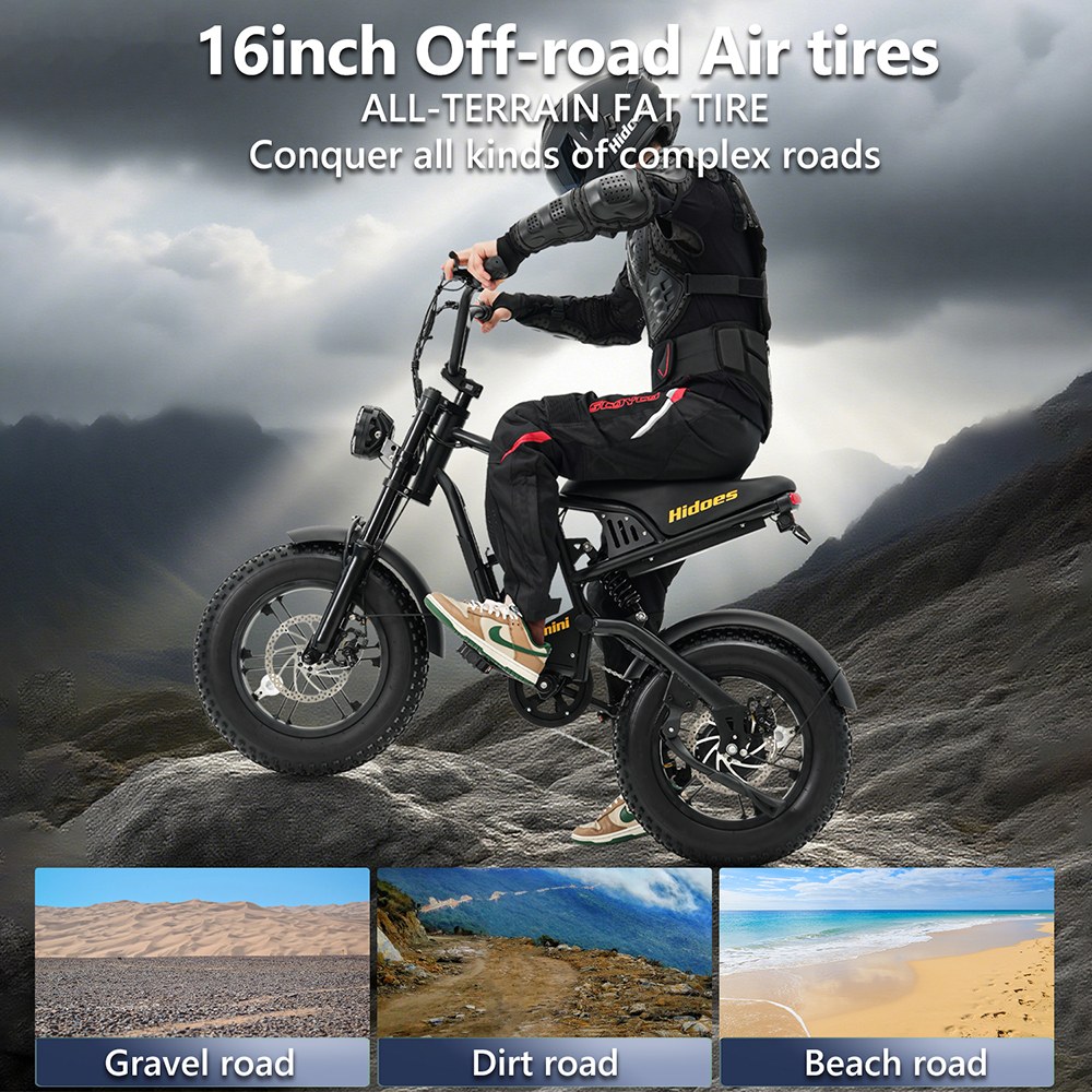 Hidoes B6mini Electric Bike, 500W Motor, 48V 10.4Ah Battery, 16 inch Tires, 35km/h Max Speed, 28km Range, Front & Rear Disc Brake, Front Fork Suspension & Rear Spring Suspension