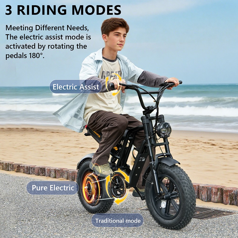 Hidoes B6mini Electric Bike, 500W Motor, 48V 10.4Ah Battery, 16 inch Tires, 35km/h Max Speed, 28km Range, Front & Rear Disc Brake, Front Fork Suspension & Rear Spring Suspension