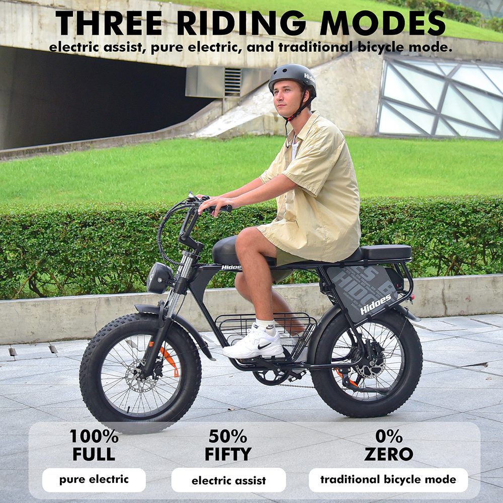 Hidoes B9 Electric Bike, 750W Motor, 48V 18.2Ah+15.6Ah Dual Battery, 20*4.0 inch Tires, 45km/h Max Speed, 150km Max Range, Front & Rear Hydraulic Disc Brakes, Dual Shock Absorbers