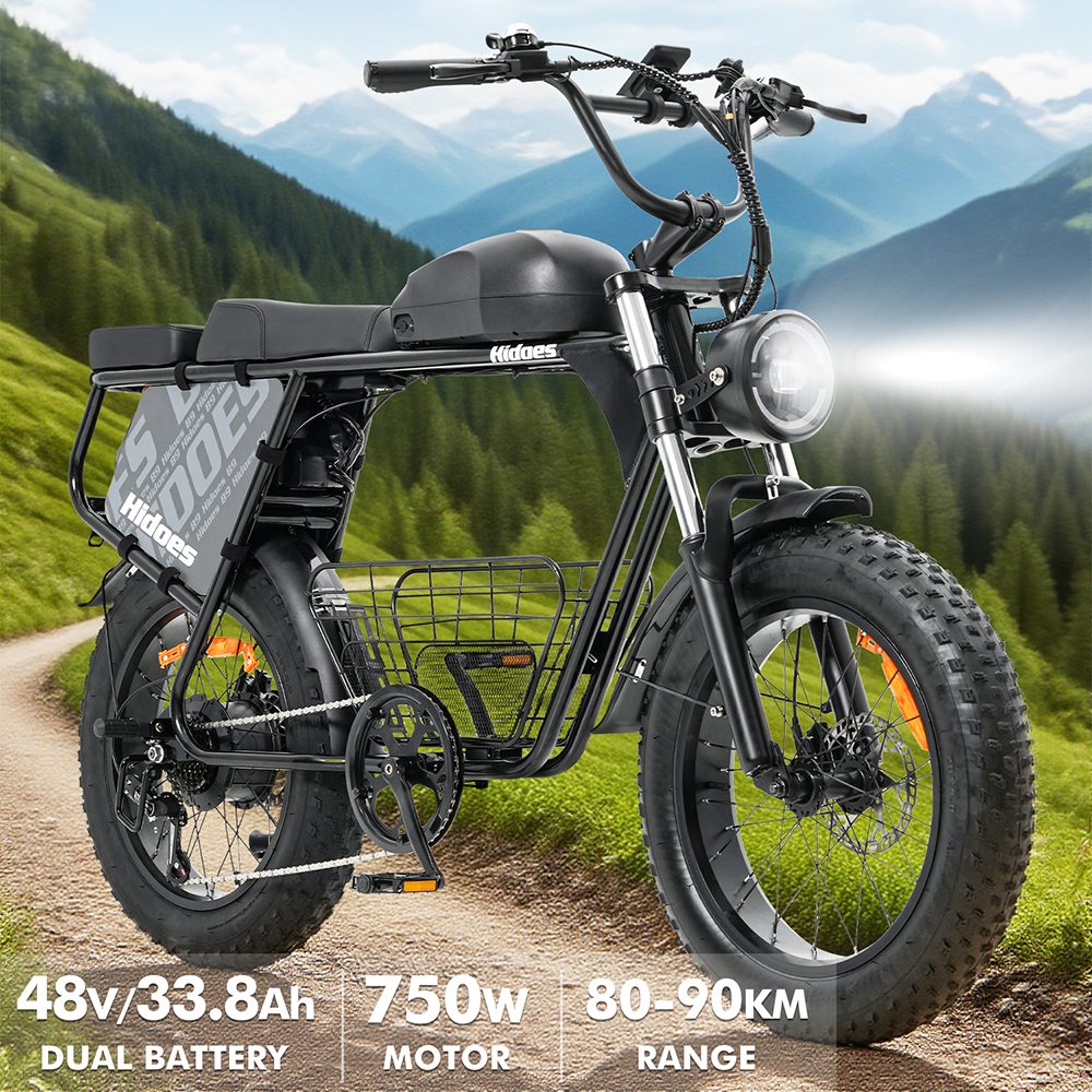 Hidoes B9 Electric Bike, 750W Motor, 48V 18.2Ah+15.6Ah Dual Battery, 20*4.0 inch Tires, 45km/h Max Speed, 150km Max Range, Front & Rear Hydraulic Disc Brakes, Dual Shock Absorbers