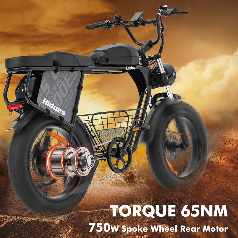 Hidoes B9 Electric Bike, 750W Motor, 48V 18.2Ah+15.6Ah Dual Battery, 20*4.0 inch Tires, 45km/h Max Speed, 150km Max Range, Front & Rear Hydraulic Disc Brakes, Dual Shock Absorbers
