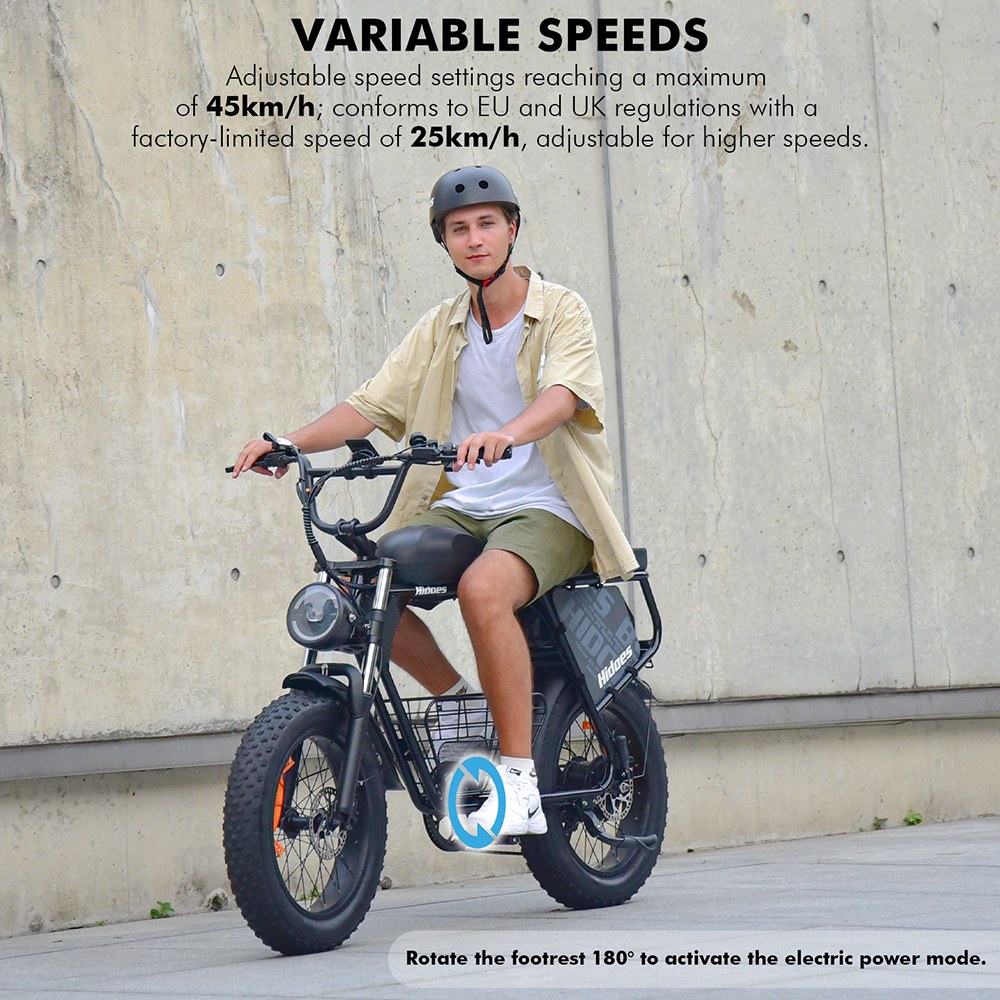 Hidoes B9 Electric Bike, 750W Motor, 48V 18.2Ah+15.6Ah Dual Battery, 20*4.0 inch Tires, 45km/h Max Speed, 150km Max Range, Front & Rear Hydraulic Disc Brakes, Dual Shock Absorbers