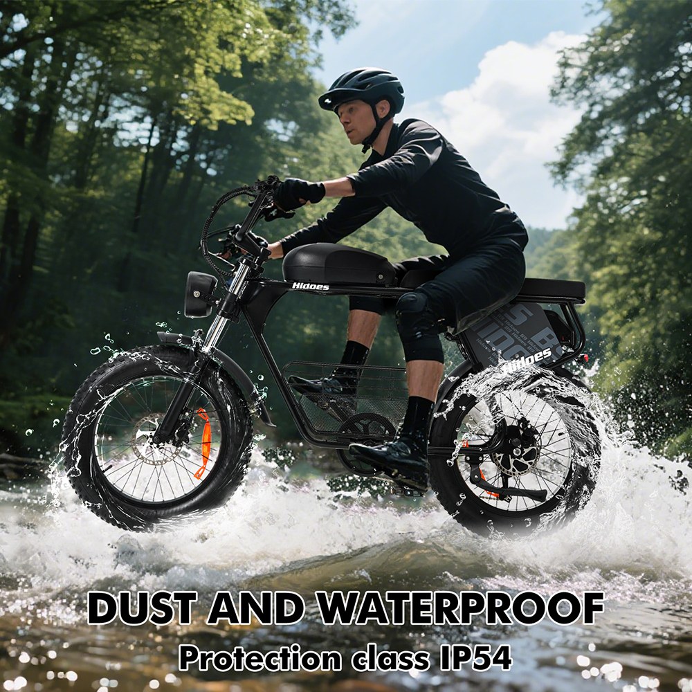 Hidoes B9 Electric Bike, 750W Motor, 48V 18.2Ah+15.6Ah Dual Battery, 20*4.0 inch Tires, 45km/h Max Speed, 150km Max Range, Front & Rear Hydraulic Disc Brakes, Dual Shock Absorbers