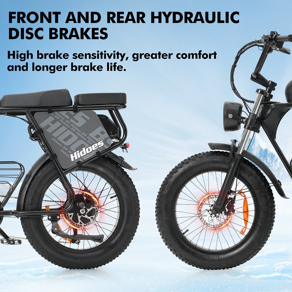 Hidoes B9 Electric Bike, 750W Motor, 48V 18.2Ah+15.6Ah Dual Battery, 20*4.0 inch Tires, 45km/h Max Speed, 150km Max Range, Front & Rear Hydraulic Disc Brakes, Dual Shock Absorbers