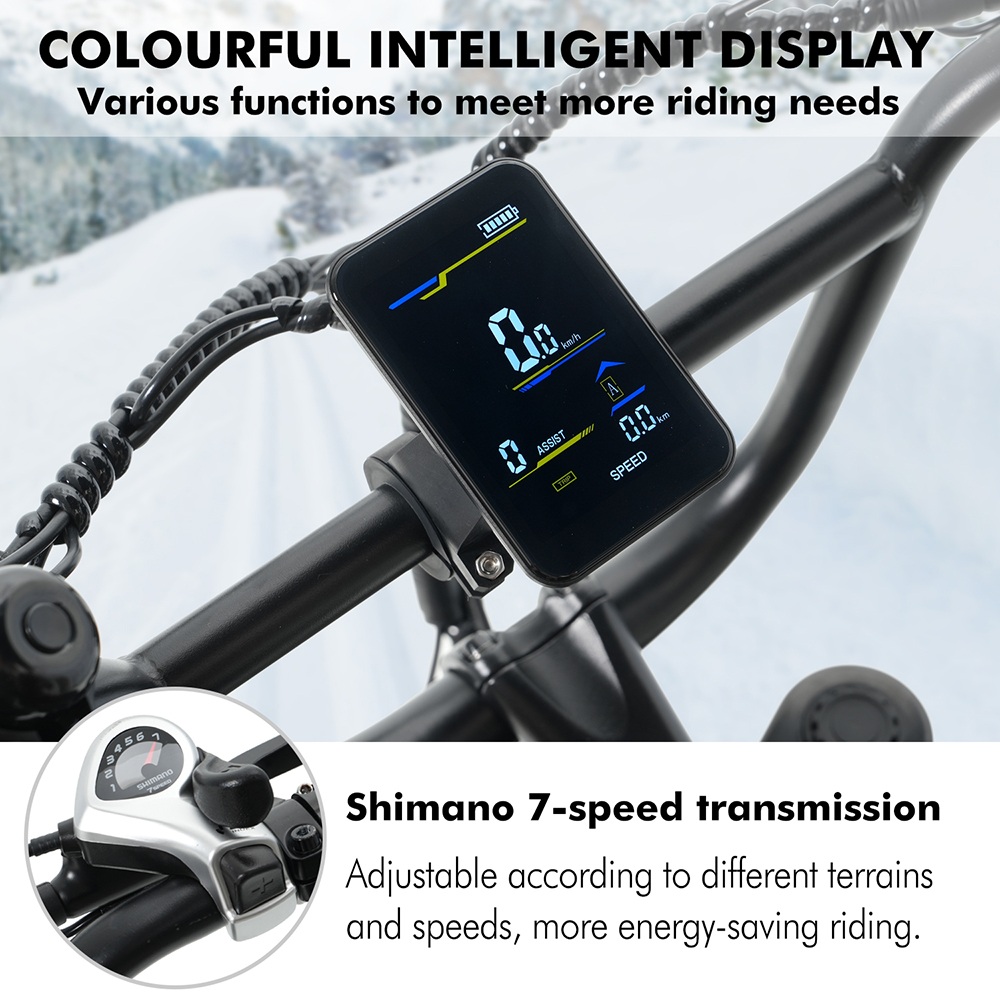 Hidoes B9 Electric Bike, 750W Motor, 48V 18.2Ah+15.6Ah Dual Battery, 20*4.0 inch Tires, 45km/h Max Speed, 150km Max Range, Front & Rear Hydraulic Disc Brakes, Dual Shock Absorbers